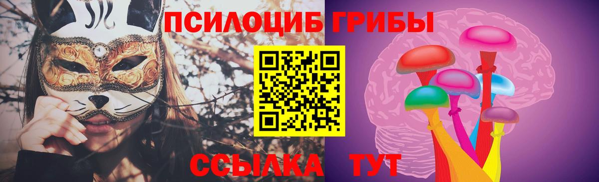 где можно купить наркотик  Галлюциногенные грибы MAGIC MUSHROOMS  Вход с VPN  Жуковский 
